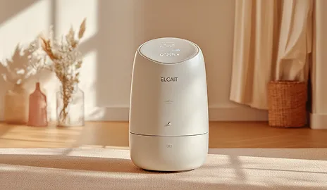 商品・ECプロモーション